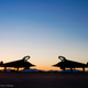 Image for article titled All These Jaw-Dropping Airplane Images Were Taken By This Flying Photog